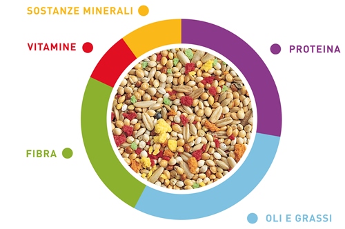 GrandMix cocorite - tenori