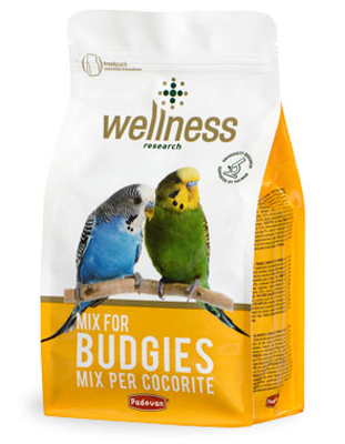Wellness ricerca uccelli