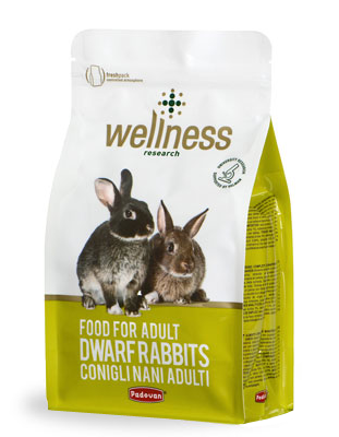 Wellness ricerca conigli